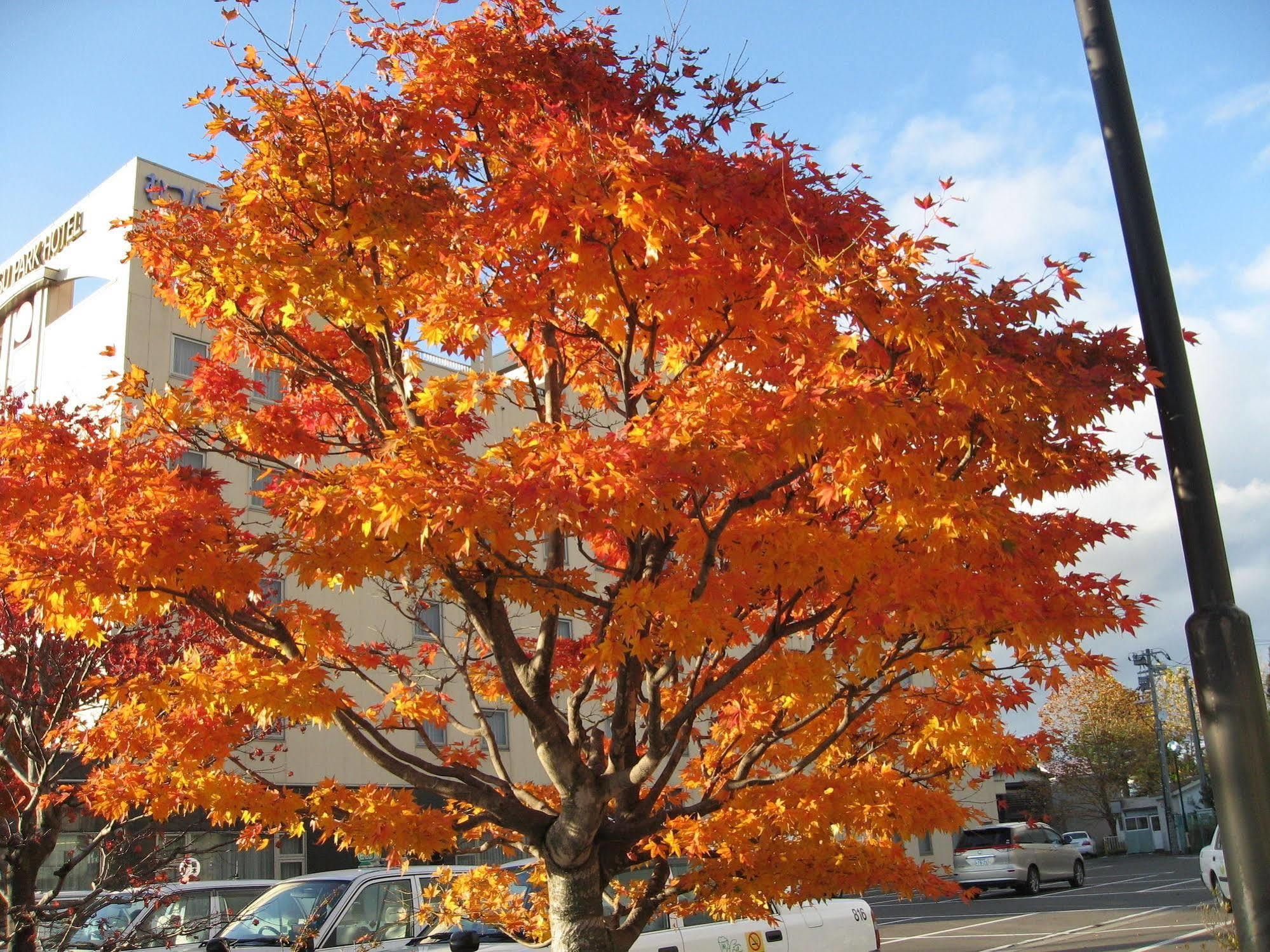 Mutsu Park Hotel Exterior photo